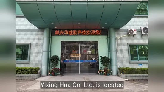 Food Grade Bisphenol a Silicone Ice Cube Tray Mold 